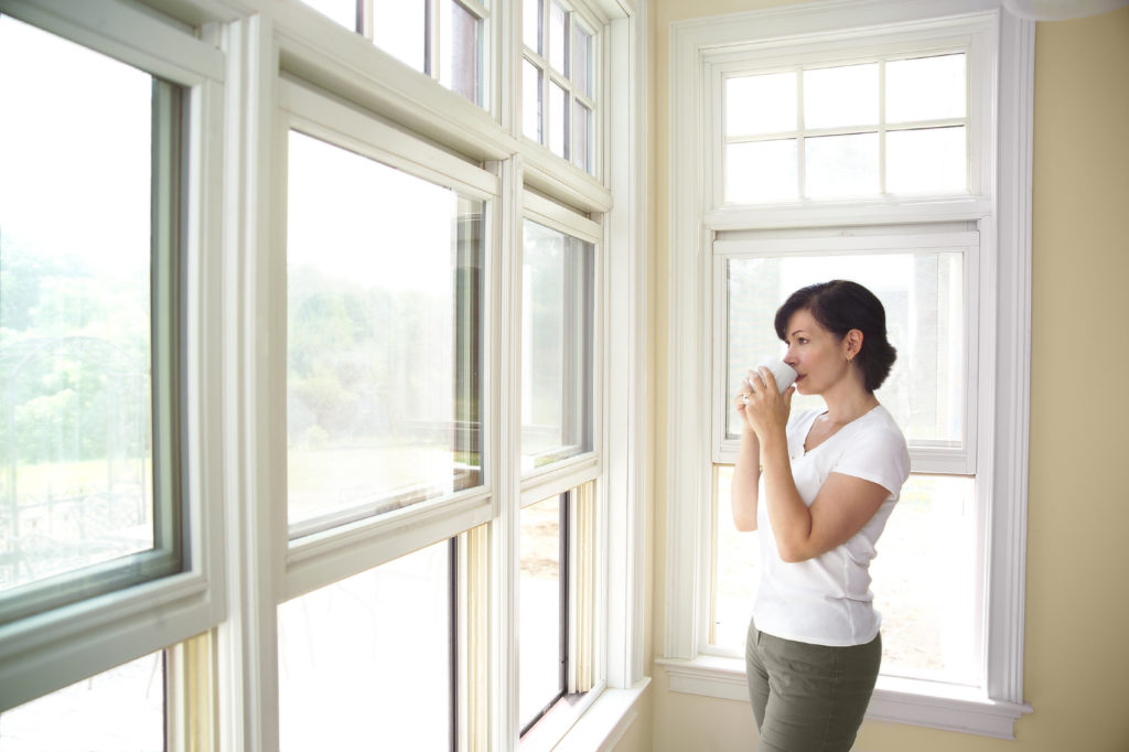 Window Cleaning