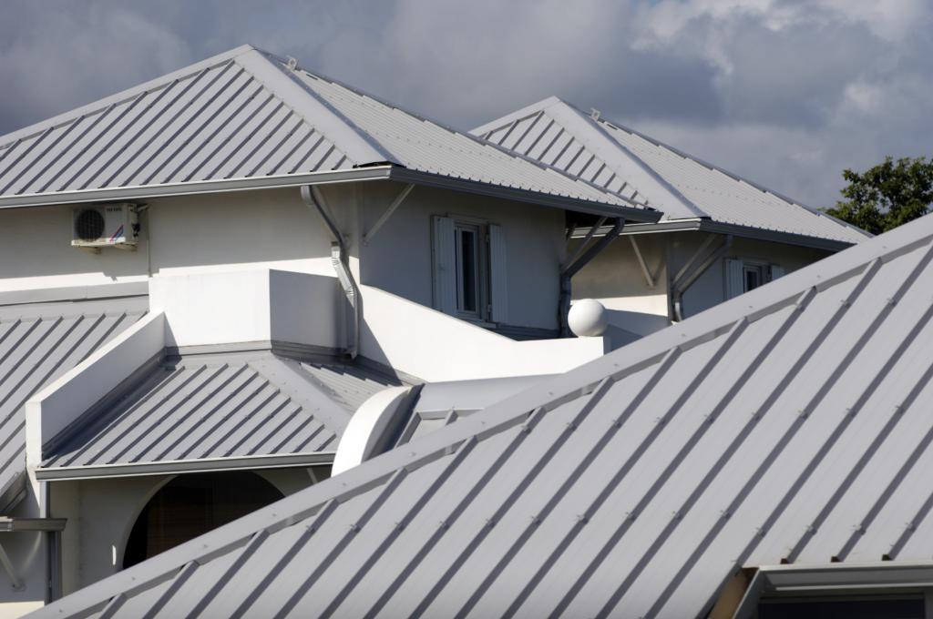 Roof being Cleaning In North Sydney