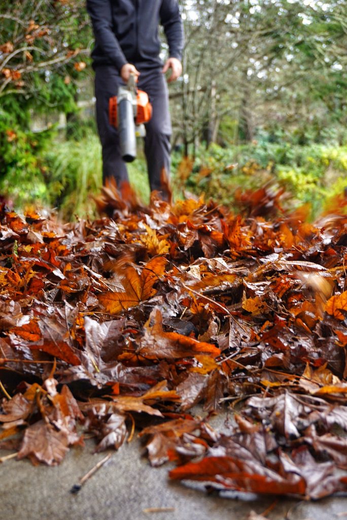 Gutter Cleaners removing leaves in North Saanich