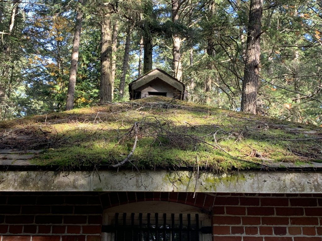 House Roof In Victoria BC with moss