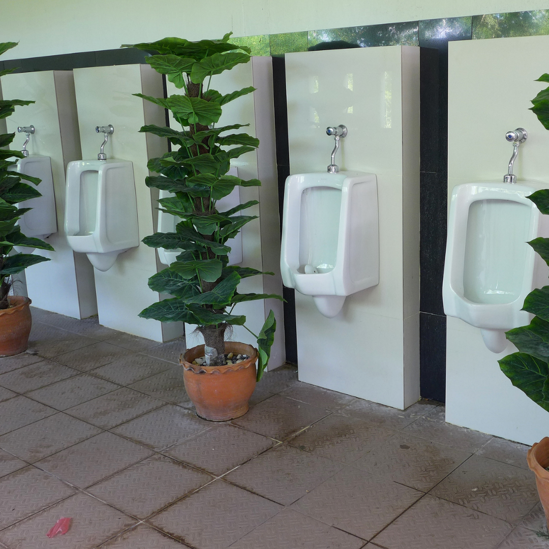 Urinal Block & Maintenence The Sydney Home Blog